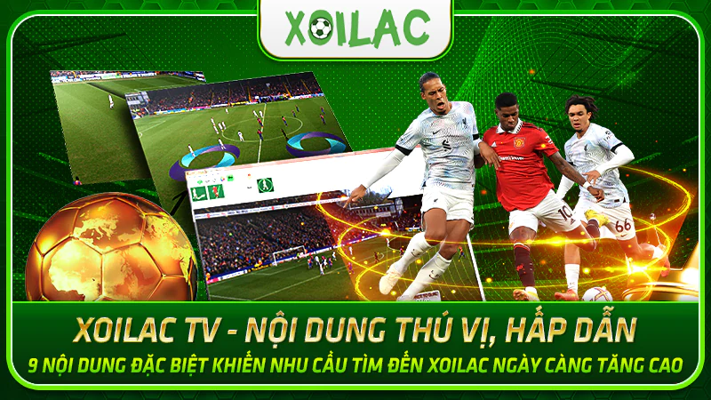 Xoilac TV cung cấp dịch vụ xem trực tiếp bóng đá miễn phí